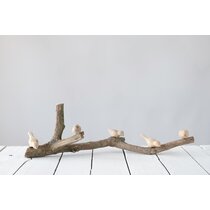 Smooth Driftwood Branch With Unique Forks 16.5 Long