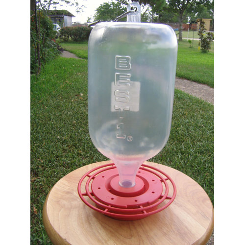 Best 1 Hummingbird Feeder Reviews Wayfair