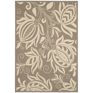 Marcella Brown & Natural Outdoor Area Rug