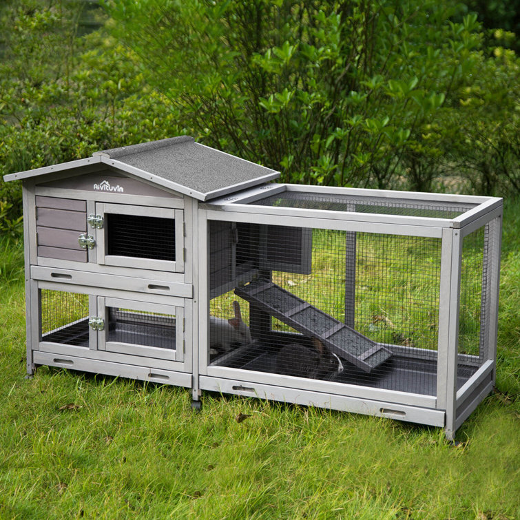 wayfair small animal cage