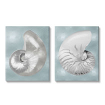 Nautilus Shell Wall Art Wayfair