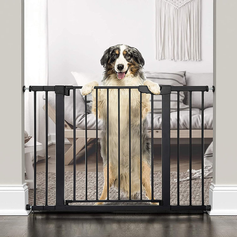 mountable pet gate