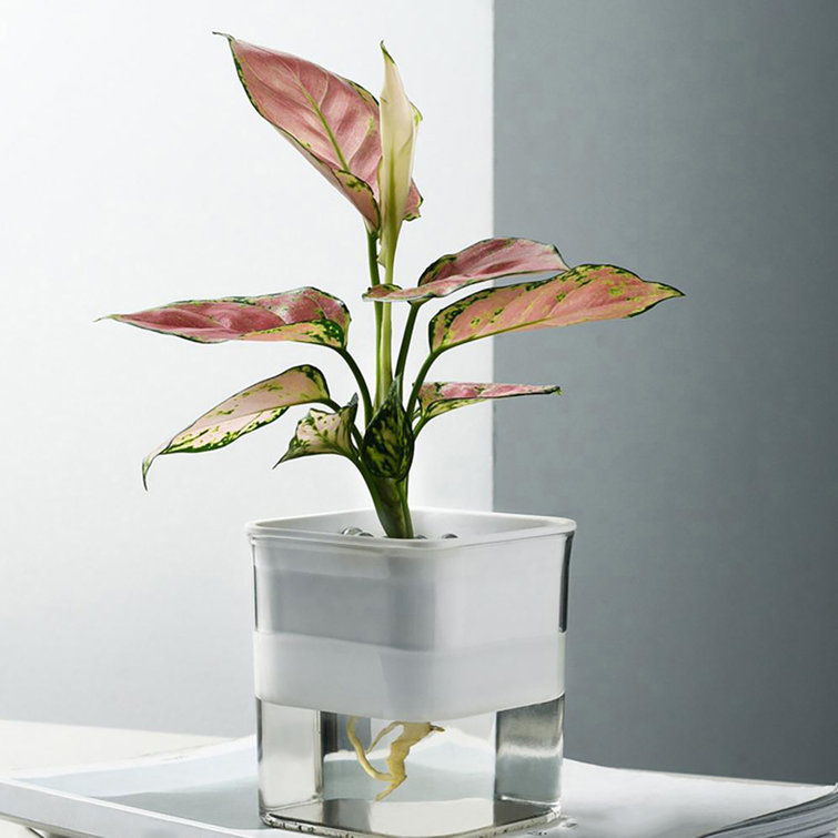 Details about   Automatic Plant Pot Self Watering Flower Pot Plastic Resin for Indoor Plants 