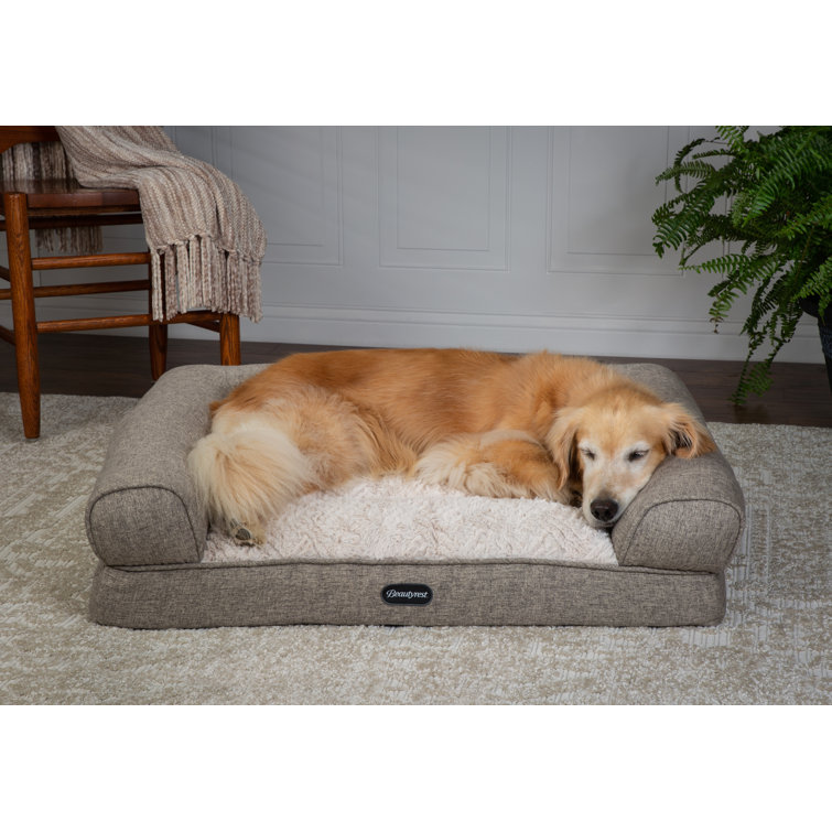wayfair large dog beds