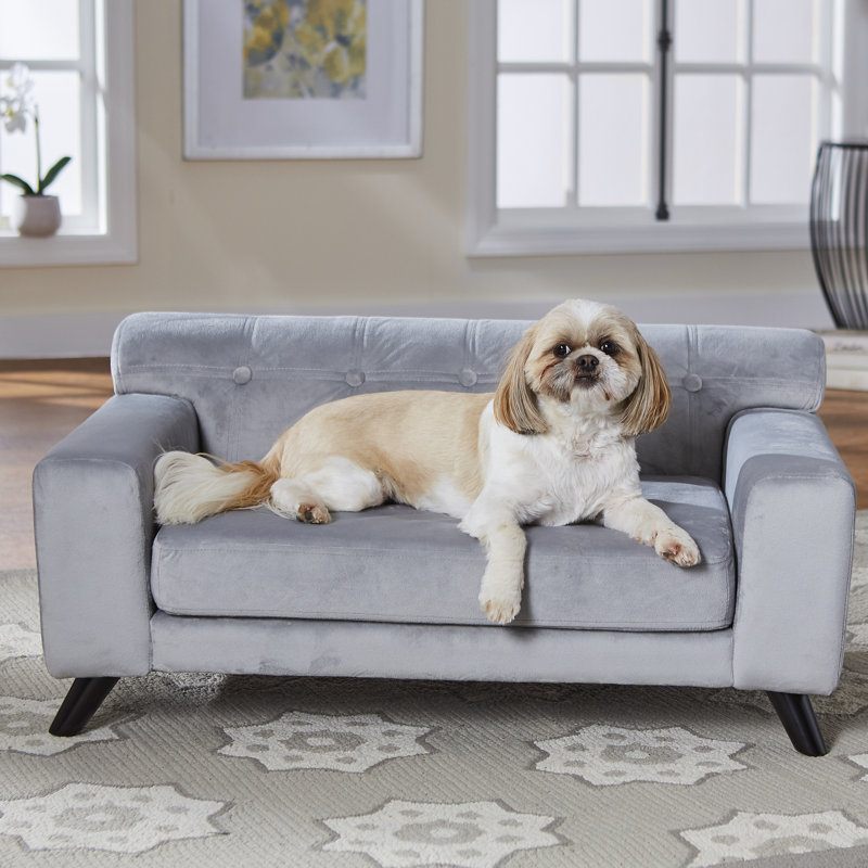 wayfair dog couch