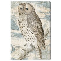 Owl White Blue Brown Red Portrait Animal Canvas Wall Art Large Picture Prints 