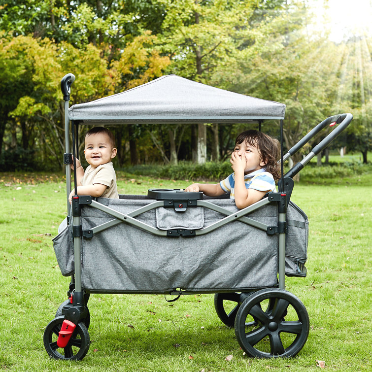 double stroller wagon