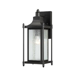 Dunnmore 1-Light Outdoor Wall Lantern