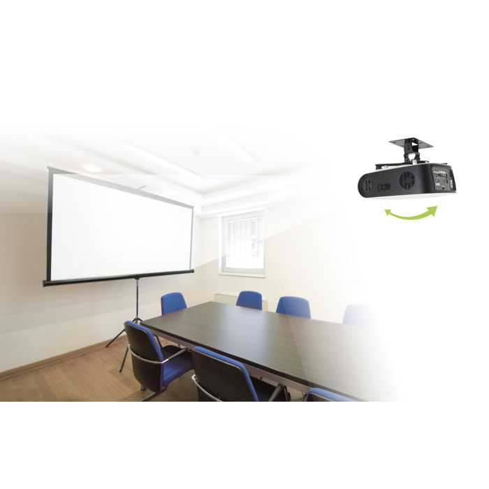 Avf Universal Projector For Ceiling And Wall Mount Wayfair