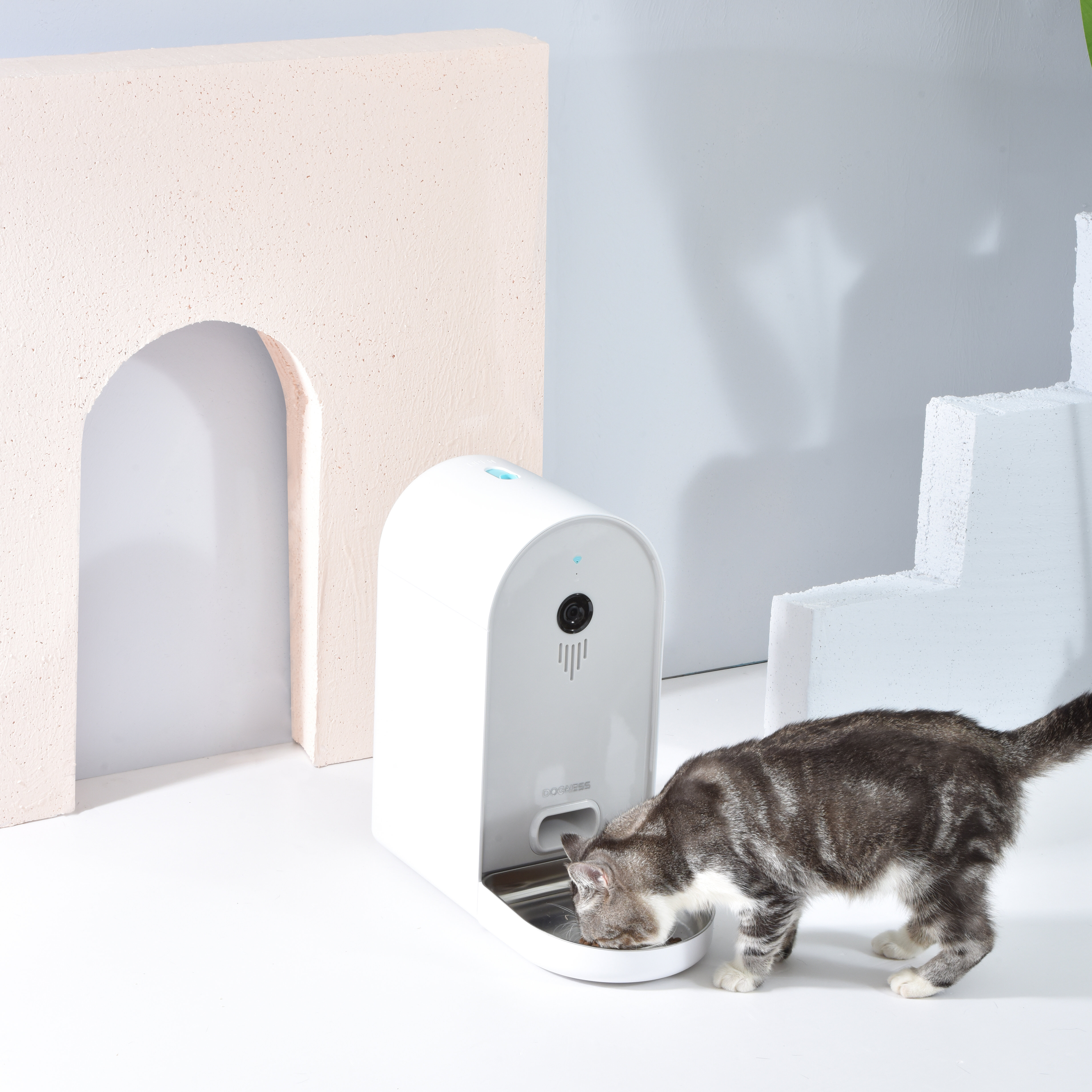 dogness automatic feeder