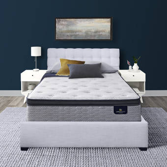 Spring Air Triumph 23 25 Plush Hybrid Mattress And Box Spring Wayfair