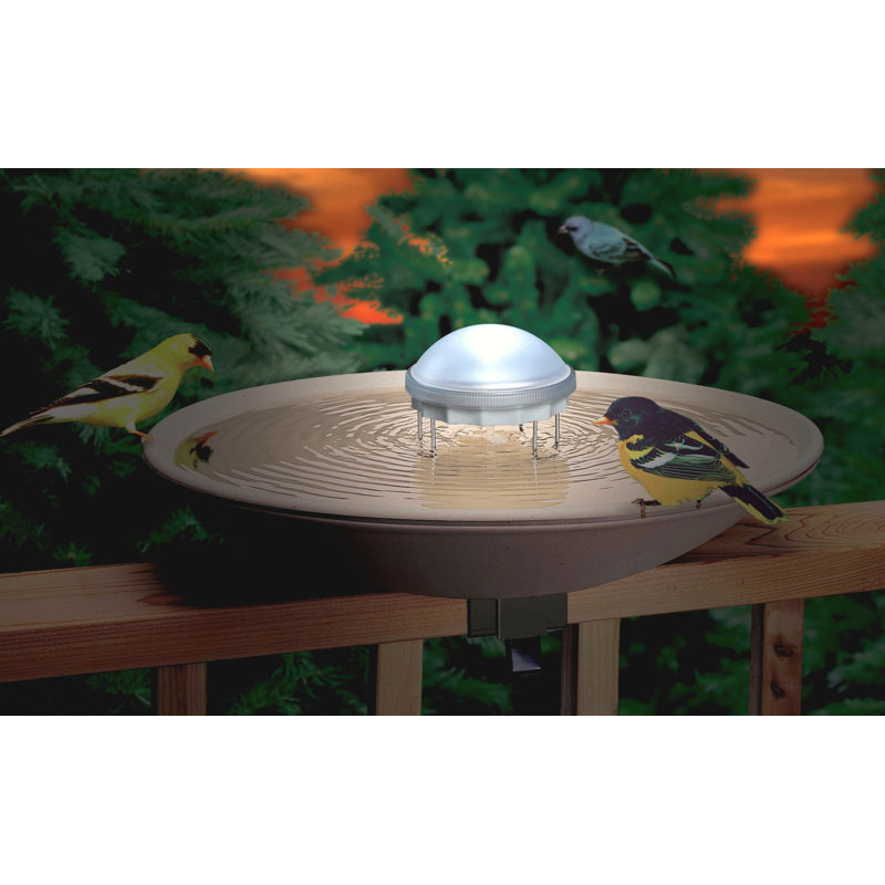 Aurora Water Lighted Bird Bath Wriggler