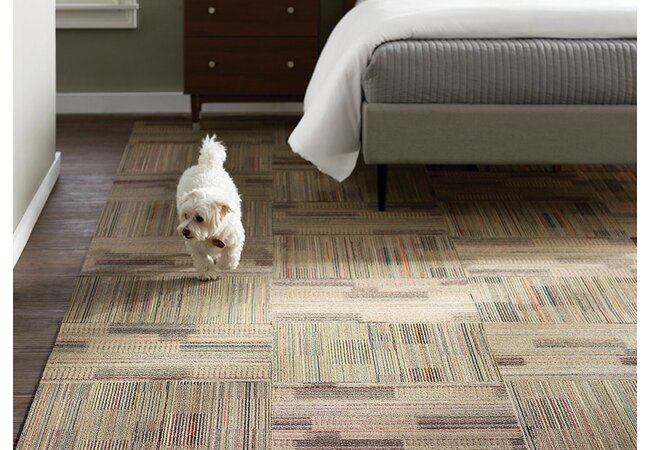 How to Choose the Best Carpet Tiles for Your Room | Wayfair
