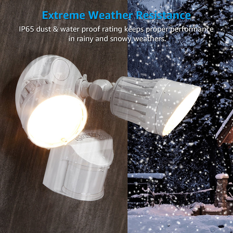 Leonlite 20 W Led Dusk To Dawn Outdoor Security Flood Light With