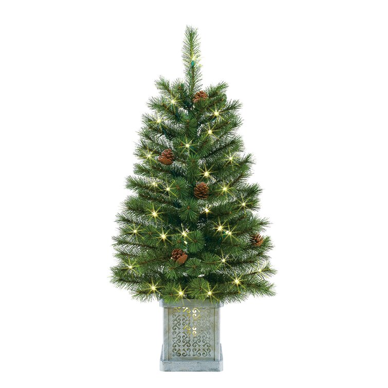 The Holiday Aisle® 3' Lighted Artificial Pine Christmas Tree & Reviews ...