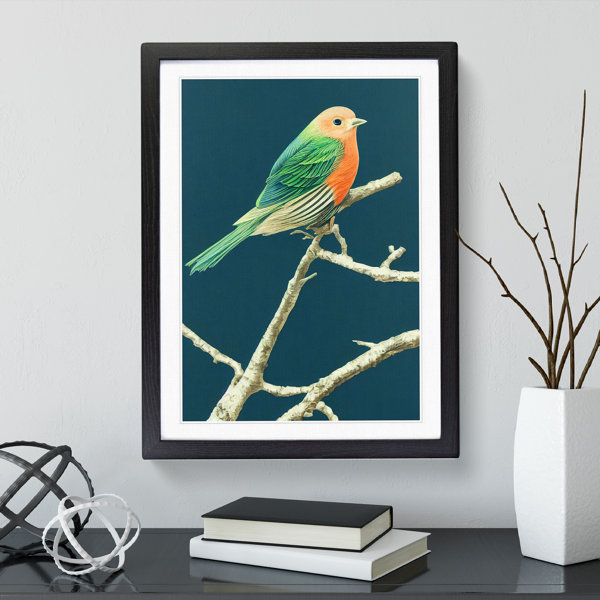 ClassicLiving Resting Bird - Picture Frame Graphic Art | Wayfair.co.uk