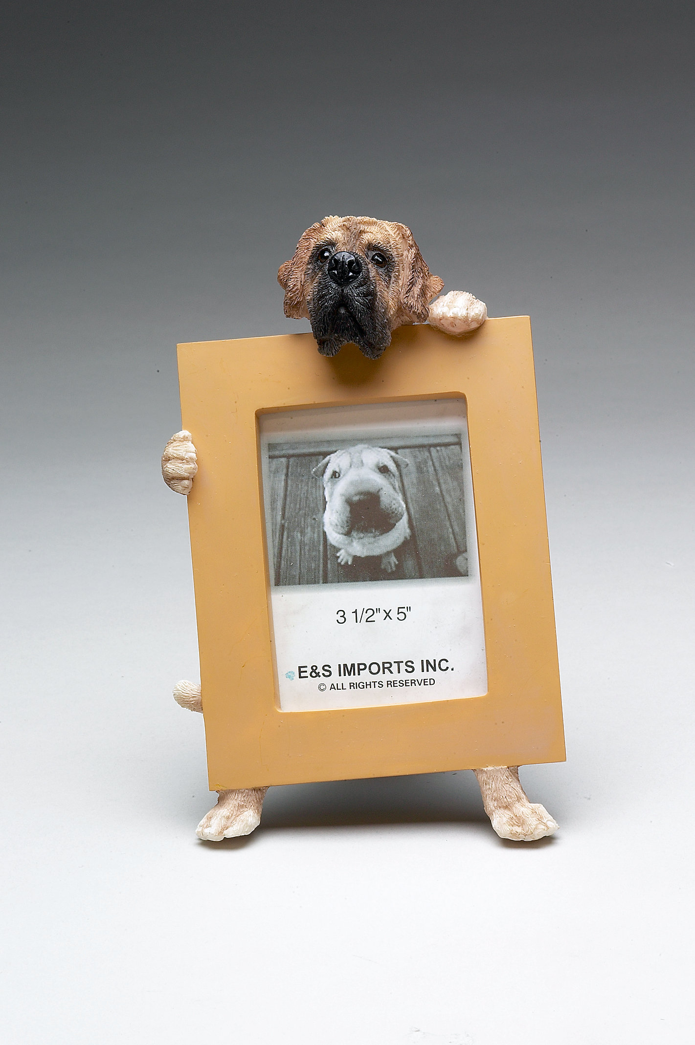 Espets English Mastiff Picture Frame Wayfair