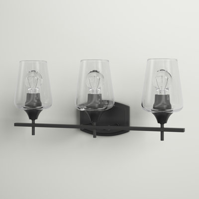 Dahlya 3-Light Dimmable Vanity Light