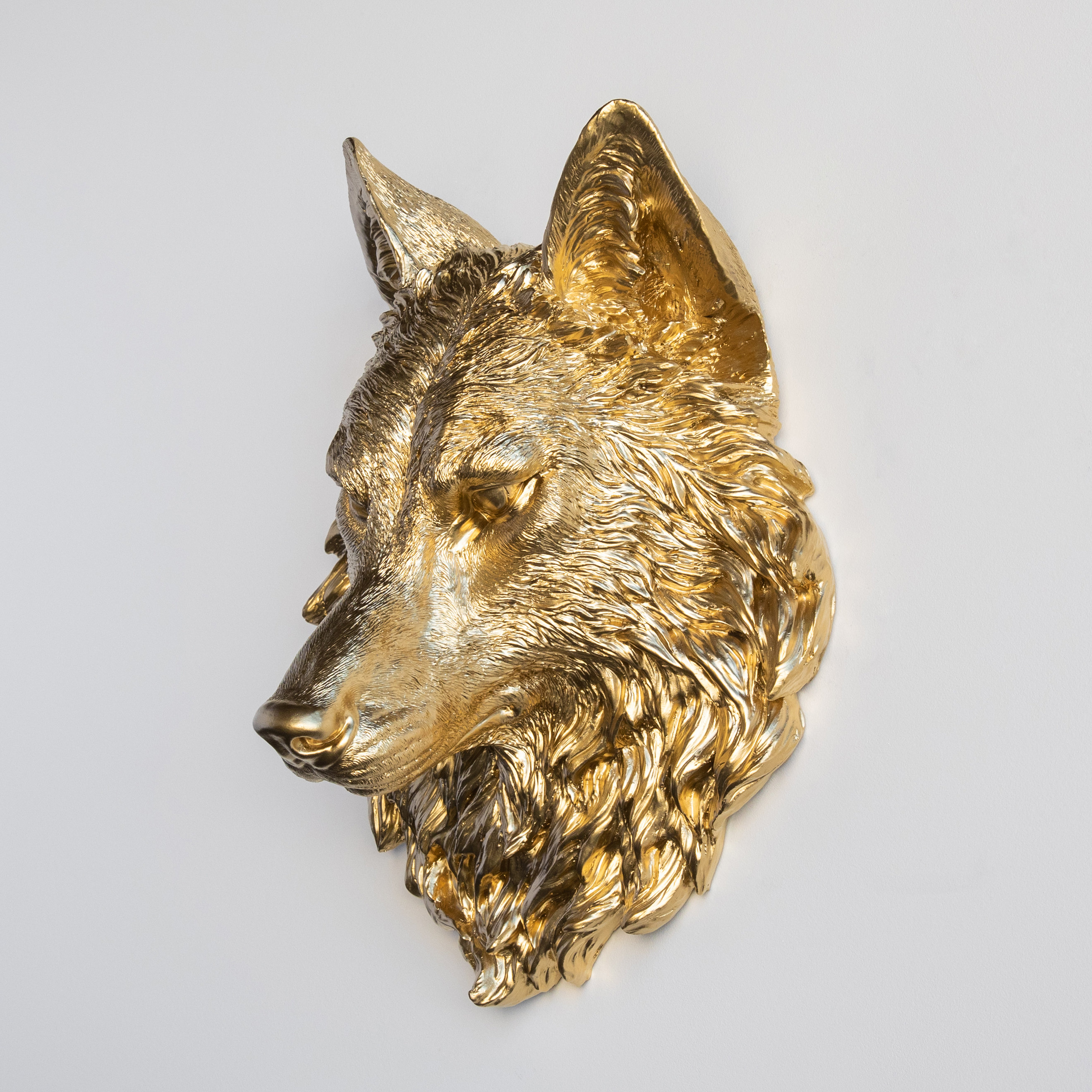 Loon Peak® Faux Taxidermy Wolf Head Wall Décor & Reviews | Wayfair