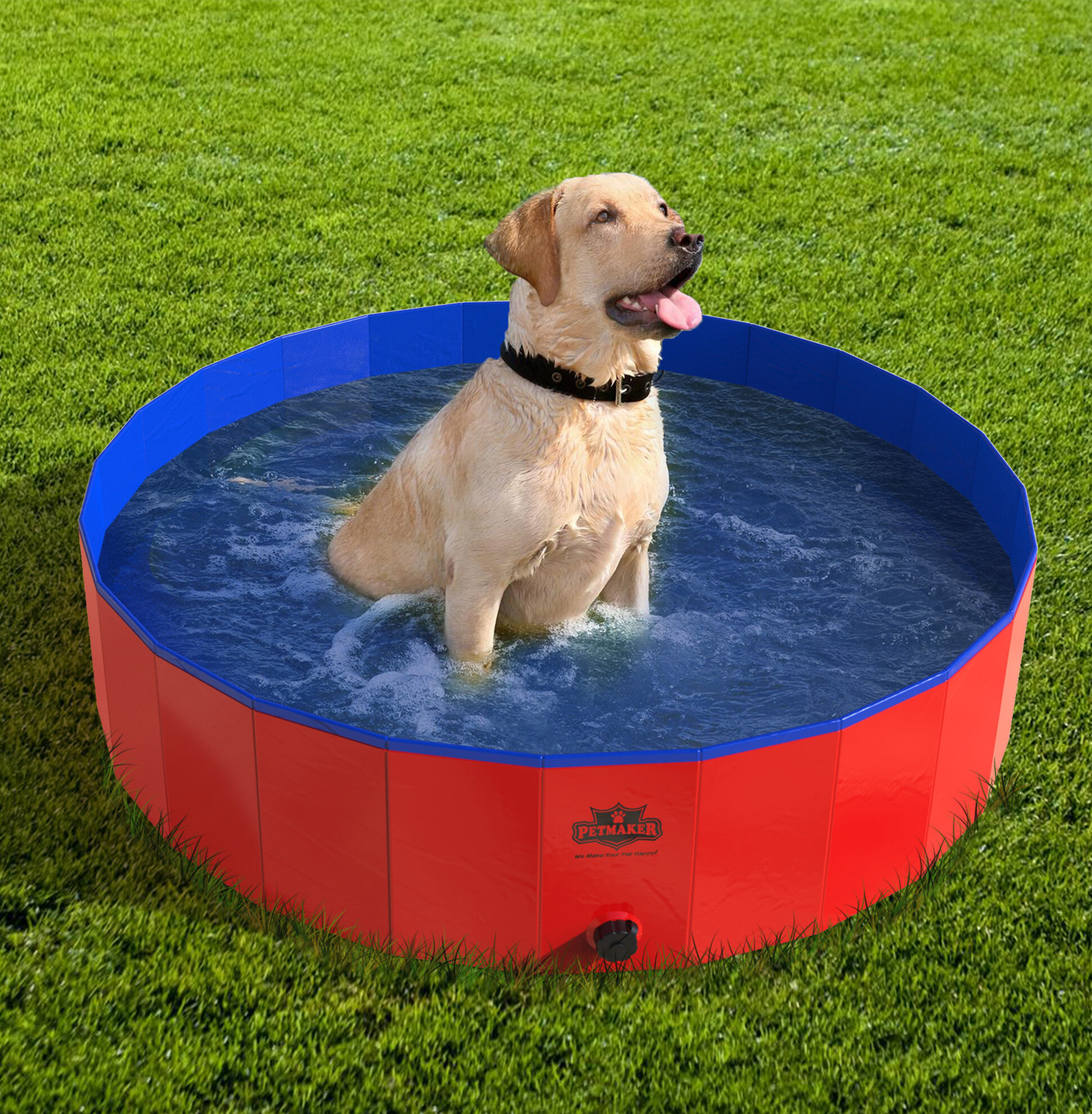 pet pool