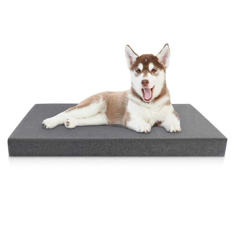 large dog bed with washable cover