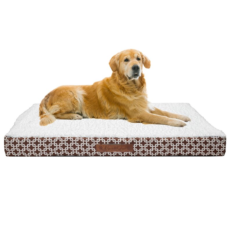 orthopedic dog beds on sale