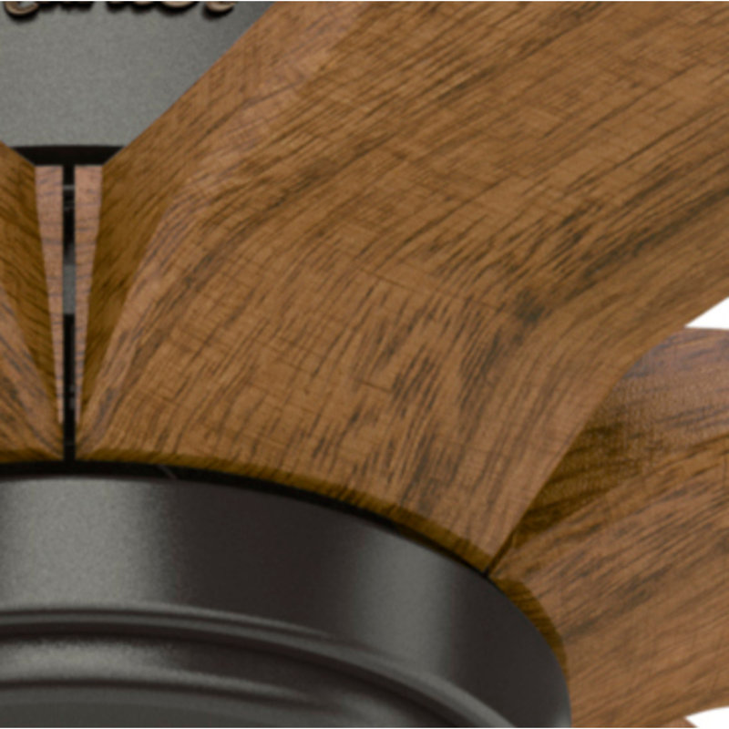 Hunter Fan 58 Rhinebeck 6 Blade Standard Ceiling Fan With Wall Control Wayfair