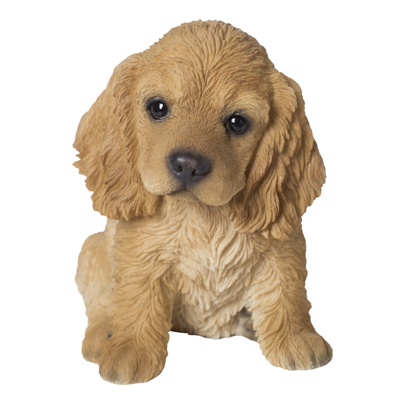 cream cocker spaniel