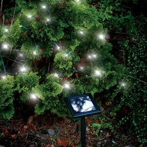 Solar 150-Light Fairy String Lights