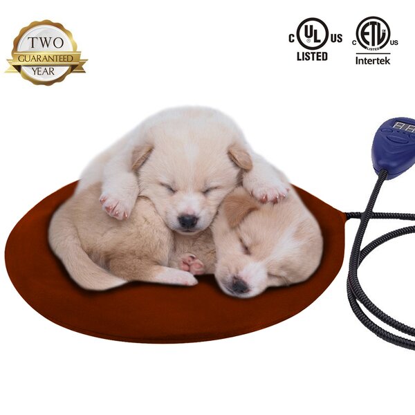 Electric Dog Heating Pad Wayfair