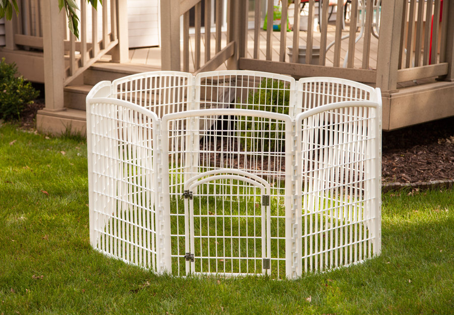 Exercise Pens & Yard Kennels