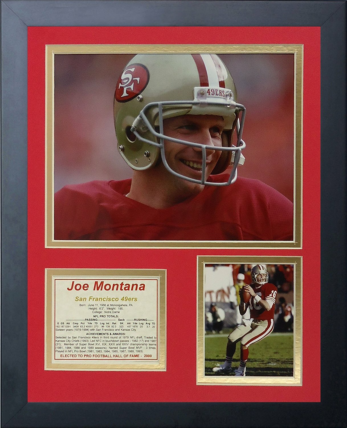 joe montana dog jersey