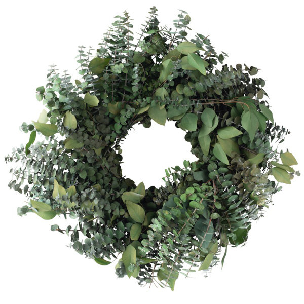 Green Leaves and Red Berry White Foam Flower Wreath Artificial Summer Wreath with Welcome Sign with Wooden Sign Wreath for Front Door Outdoor Wall Window Door Décor Green Leaves and Red Berry White Foam Flower Wreath Artificial Summer Wreath with Welcome Sign with Wooden Sign Wreath for Front Door Outdoor Wall Window Door Décor