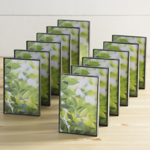 Wayfair Basics Desk Picture Frame Set (Set of 12)