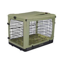 medium plastic dog crate