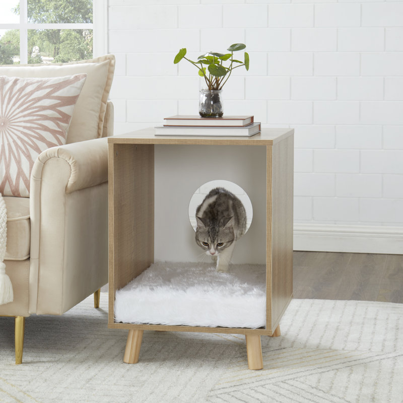 Tucker Murphy Pet Fidler Designer Rectangle Cat Bed Wayfair