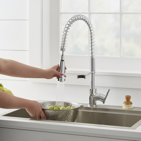 Gerber Parma Pull Down Kitchen Faucet & Reviews | Wayfair