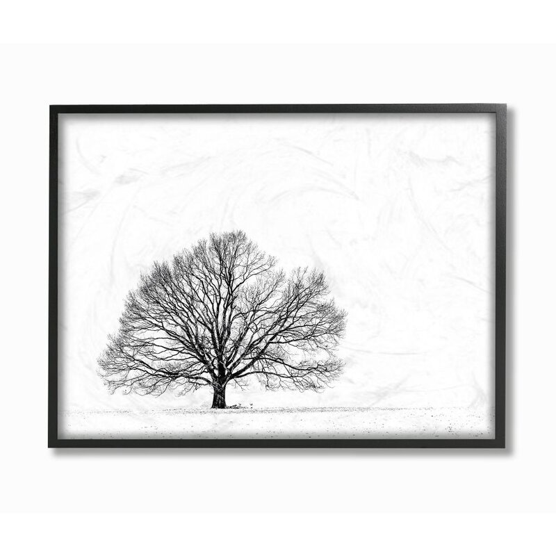 Winston Porter Winter Tree Silhouette Black And White Landscape By Matthias Conrad Photograph Print Wayfair