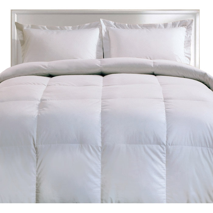 All Season Down Feather Comforter Reviews Allmodern