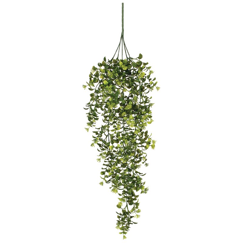 Ophelia & Co. Classic Hanging Bush Boxwood Branch & Reviews | Wayfair