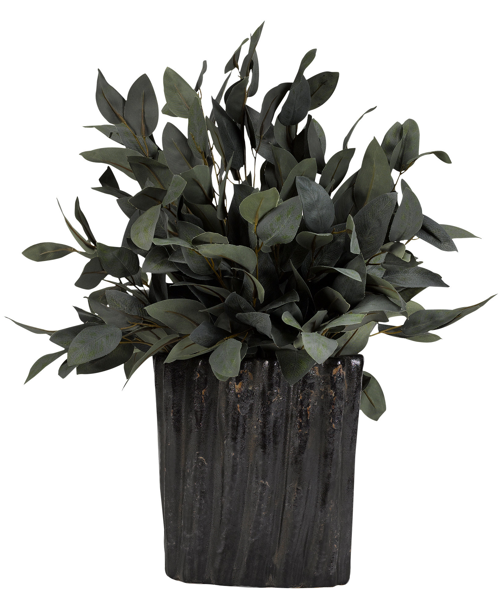 wayfair standing planter on Millwood Pines Eucalyptus Plant In Ceramic Planter Wayfair