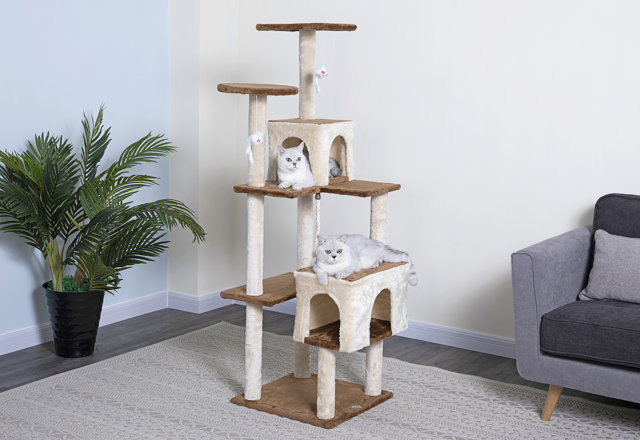 Cat Trees for Less