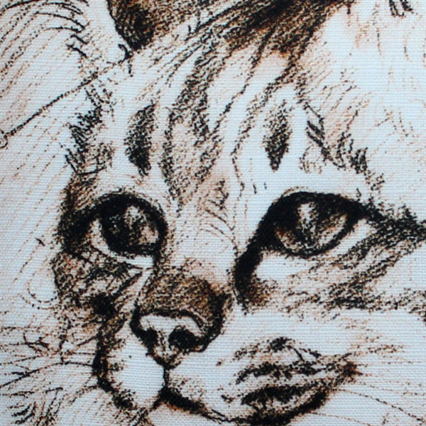 Red Barrel Studio Chadford Maine Coon Cat Indoor Outdoor Throw Pillow Wayfair Today we're going to talk about one of the mostpopular giant cat breeds: wayfair com