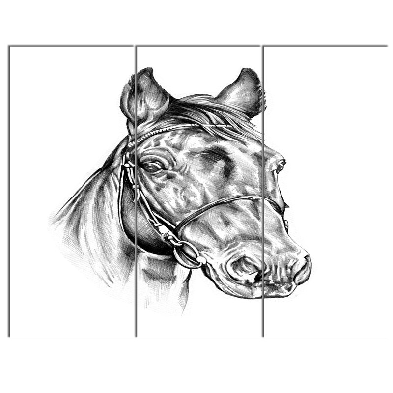 Designart Freehand Horse Head Pencil Drawing 3 Piece Painting