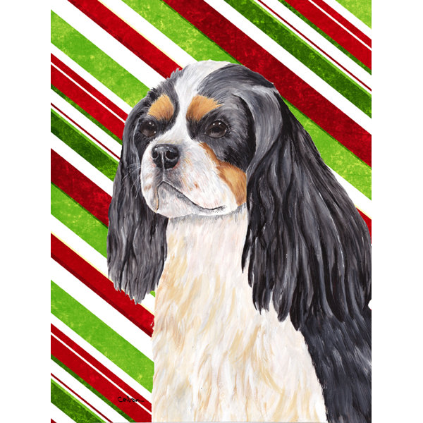 Caroline S Treasures Cavalier Spaniel Candy Cane Holiday Christmas 2 Sided Garden Flag Wayfair