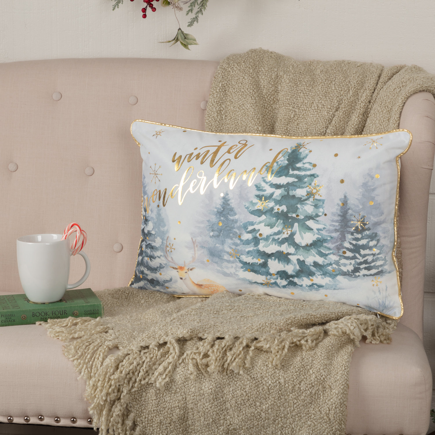 The Holiday Aisle Schroeders Cotton Throw Pillow Reviews Wayfair