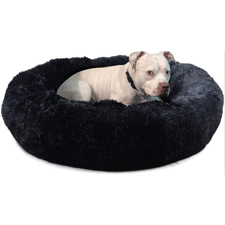 donut shaped dog bed