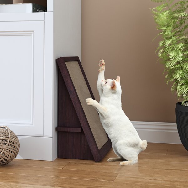 Funny Animal Kitten Beware Crazy Cat Lady Rectangular Wooden Chopping Board