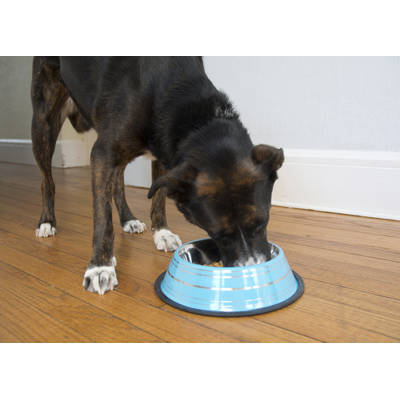miller chow hound dog feeder