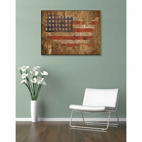 PTM Images American Flag Framed Graphic Art & Reviews | Wayfair